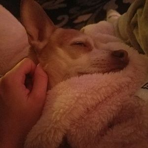 Meet your Posher, Heather